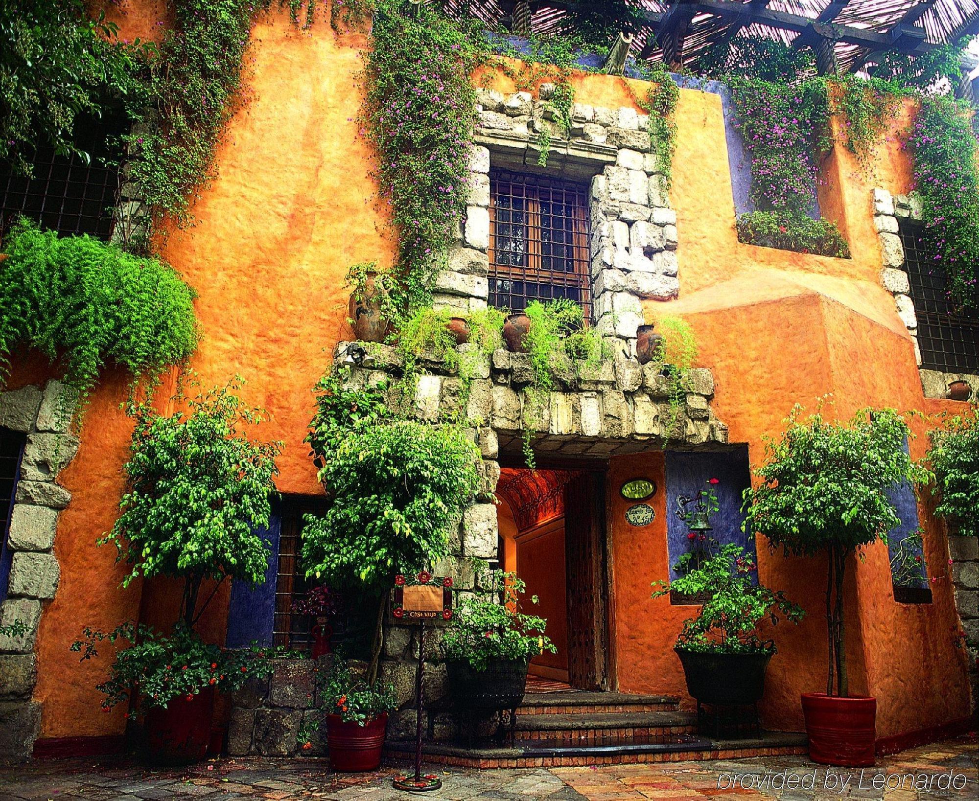 Busue A Boutique Experience Hotel مدينة مكسيكو المظهر الخارجي الصورة